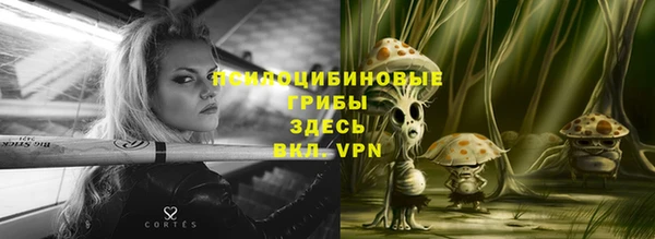 соль ск Балахна