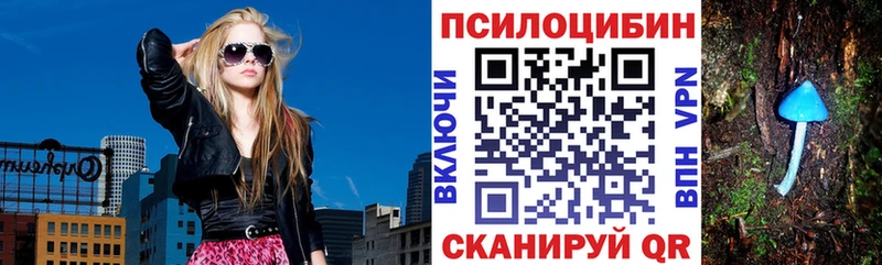 где продают наркотики  MEGA как войти  Псилоцибиновые грибы Psilocybine cubensis  Новоалтайск 
